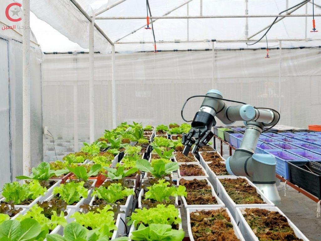 تكنلوجيا الزراعة في الصين