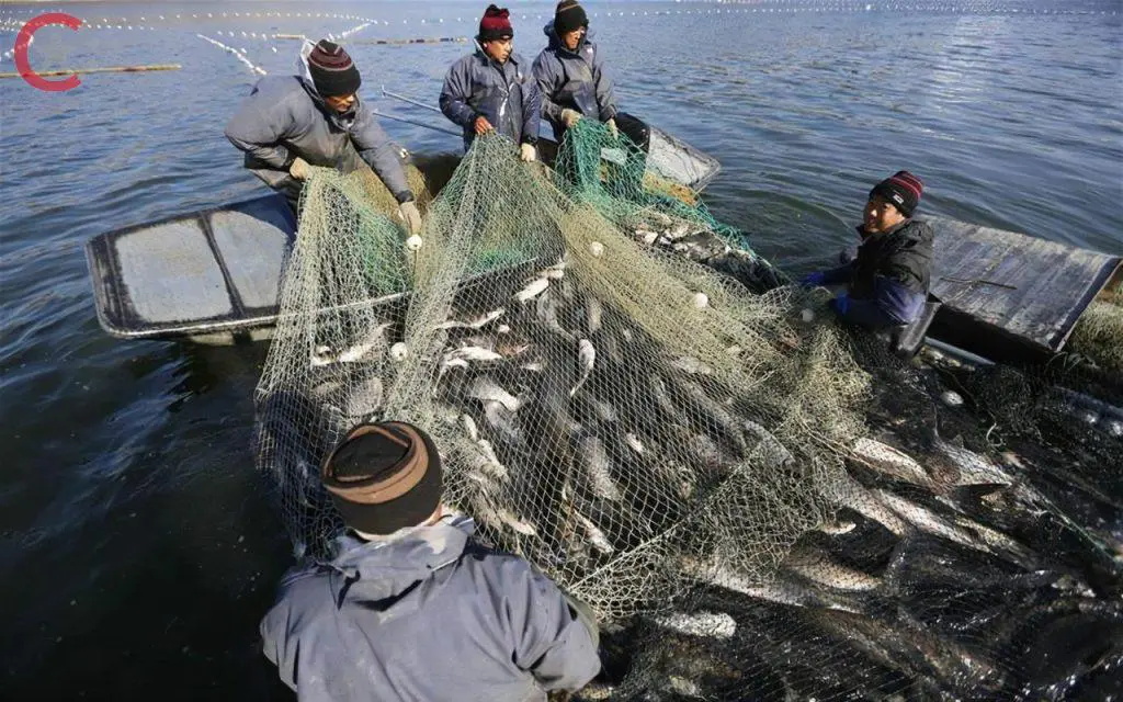 ما هي أهم الموارد الطبيعية في الصين