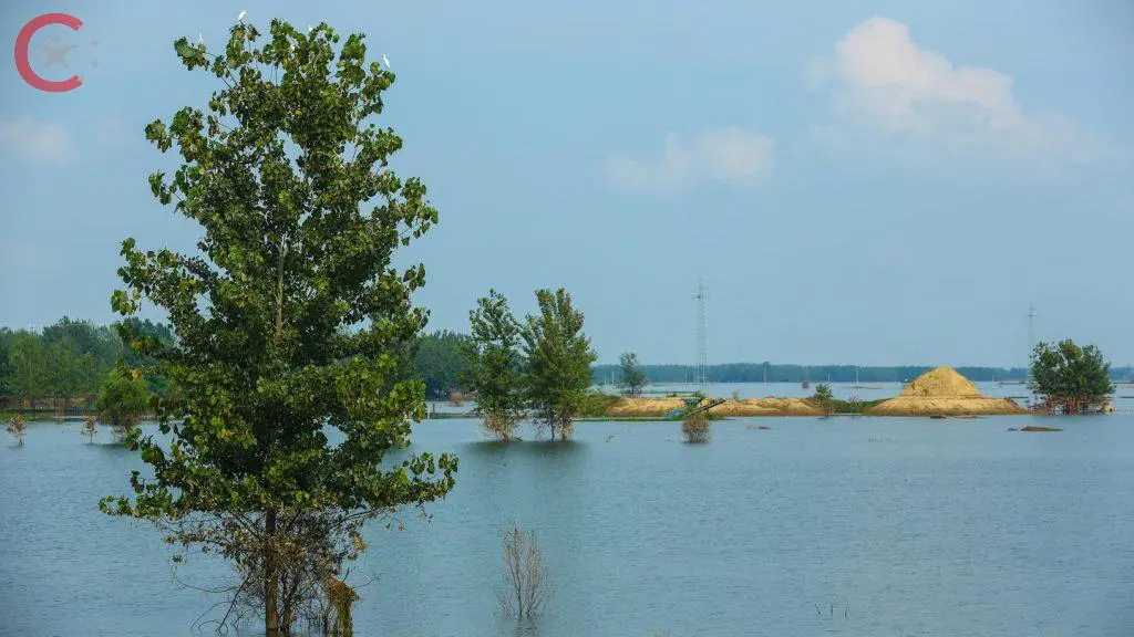 ما هي أهم الأنهار في الصين