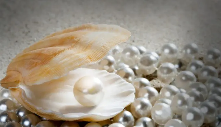 صناعة اللؤلؤ في الصين