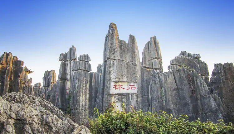 غابة الصخور في الصين أعجوبة جيولوجية عالمية