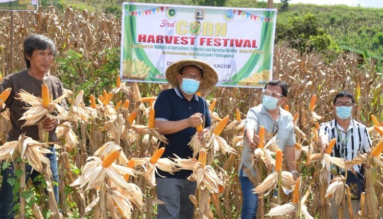 كرنفال الذرة في الصين