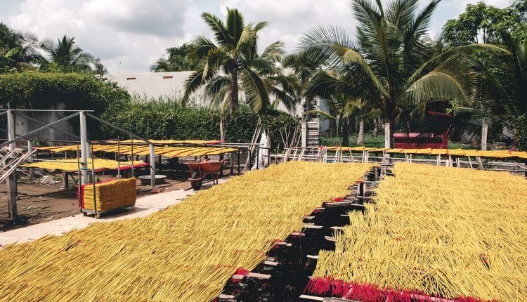 حقول البخور في الصين