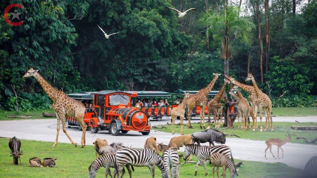 حديقة Chimelong Safari Park من أجمل 5 حدائق حيوان في الصين