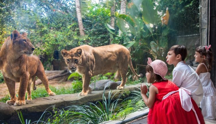 أجمل حدائق حيوان في الصين